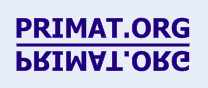 PRIMAT.ORG